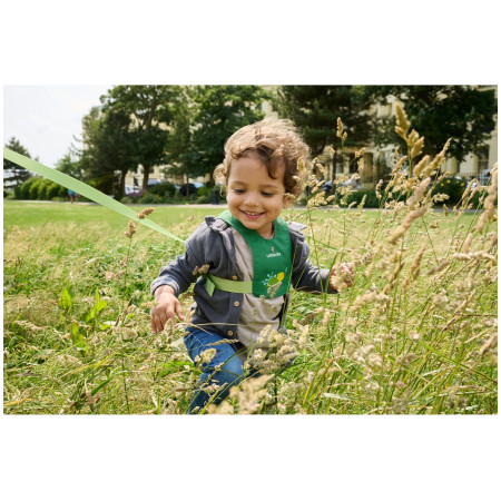 Kleinkind-Geschirr LittleLife Toddler Reins Turtle