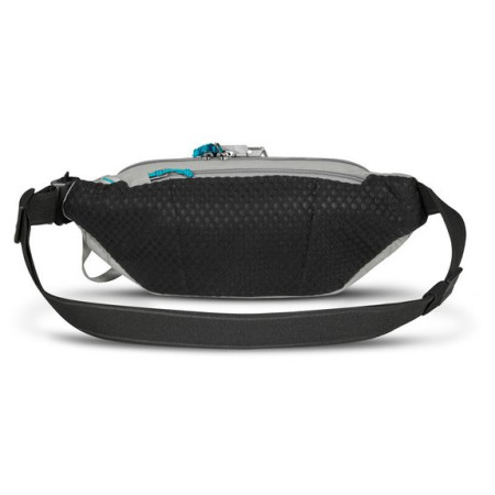 Hüfttasche Pacsafe ECO waist pack