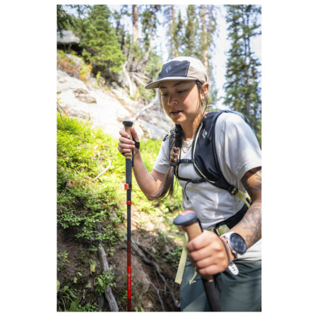 Trekkingstöcke Black Diamond Pursuit Carbon FLZ