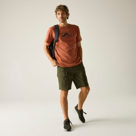 Herren-T-Shirt Regatta Cline IX