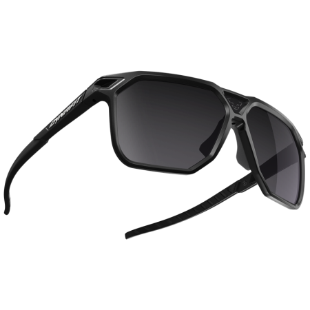 Sonnenbrille Dynafit Traverse Sunglasses schwarz 0910 - black out / nimbus CAT 3