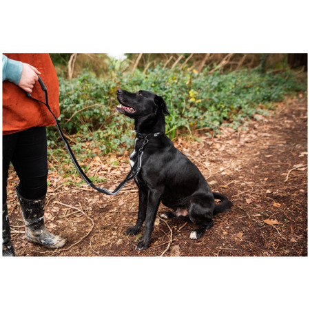 Leine mit Stoßdämpfer Mountain Paws Stretch Dog Lead