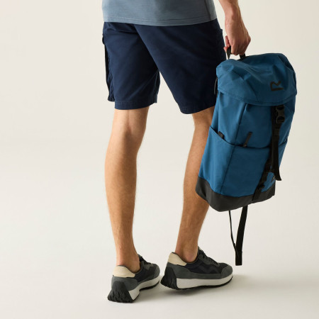 Herrenshorts Regatta Bendrick Shorts