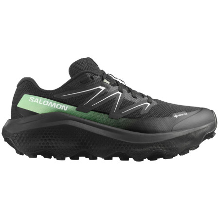 Herrenschuhe Salomon Ultra Flow 2 Gore-Tex