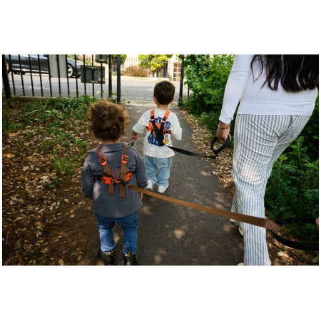 Kleinkind-Geschirr LittleLife Toddler Reins Dinosaur