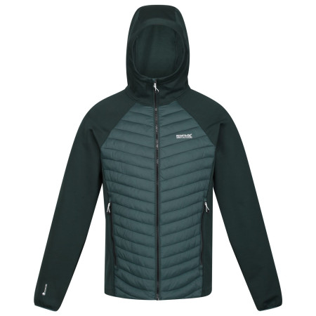 Herren-Winterjacke Regatta Andreson VII Hybrid dunkelgrün Green Gables