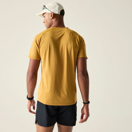 Herren-T-Shirt Dare 2b Tech II Tee