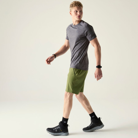 Herrenshorts Dare 2b Torrek Lite Short