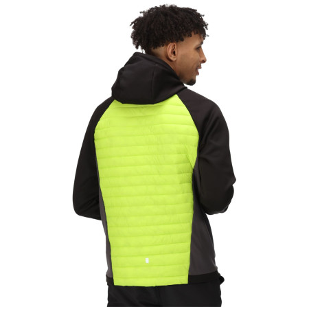 Herren-Winterjacke Regatta Andreson VII Hybrid