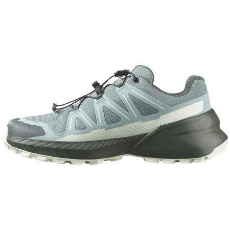 Damen Laufschuhe Salomon Speedcross Peak Gore-Tex