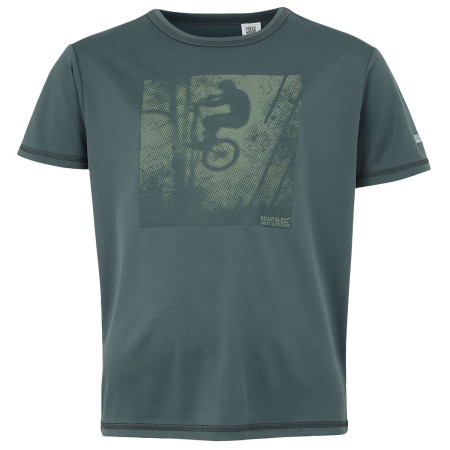 Kinder-T-Shirt Regatta Alvarado IX