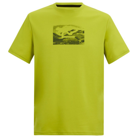 Herren-T-Shirt Regatta Fingal grün DARK TANG