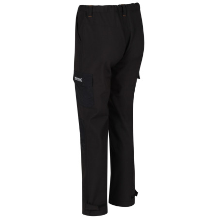 Herrenhose Regatta Geo Softshell ll Trousers (Reg