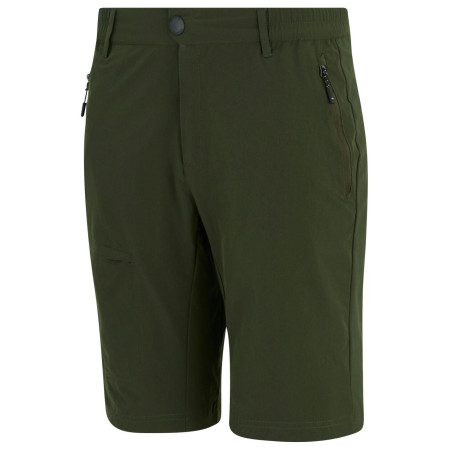Herrenshorts Regatta Highton Shorts Long II