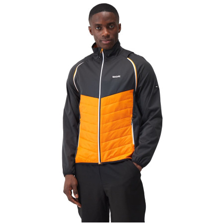 Herrenjacke Regatta Steren Hybrid