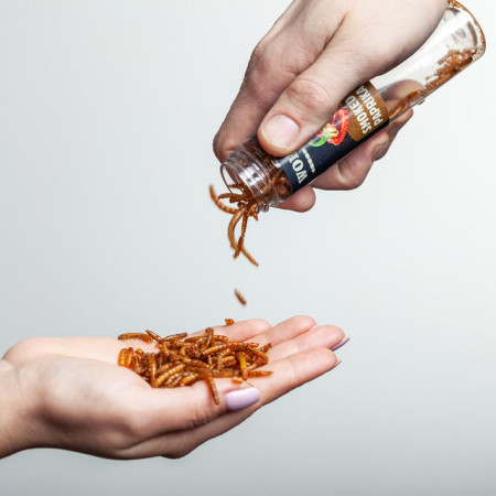 Essbare Würmer Sens Geschenkset mit 4 Geschmacksrichtungen