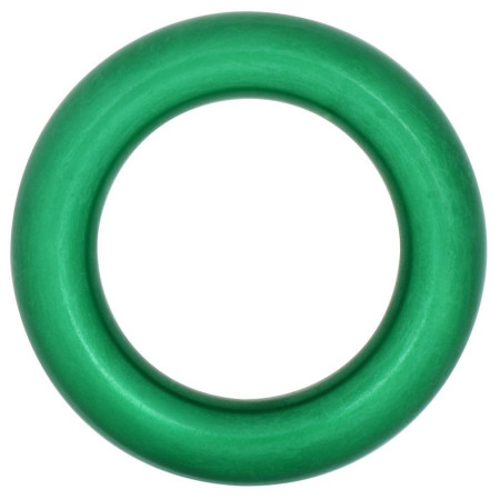 Aluminiumring DMM Anchor Ring 40mm grün Green