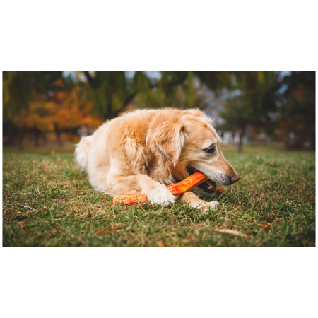Hundespielzeug Ruffwear Gnawt-a-Stick™ Toy