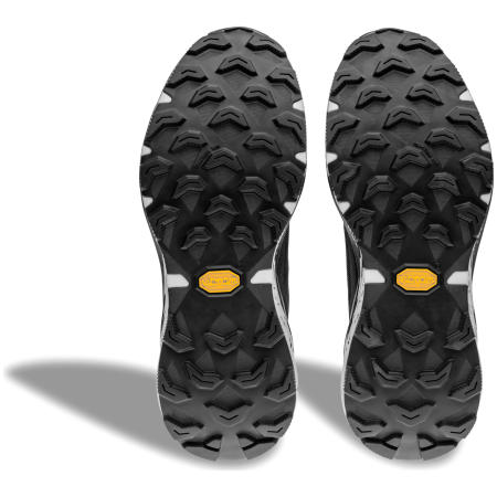 Damen Laufschuhe Dynafit Ultra 100 V3 GTX W