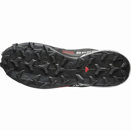 Herrenschuhe Salomon Speedcross 6 Gtx 20 Years