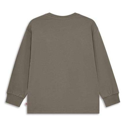 Kinder-T-Shirt Lego Wear Lwtaj 608 Brown
