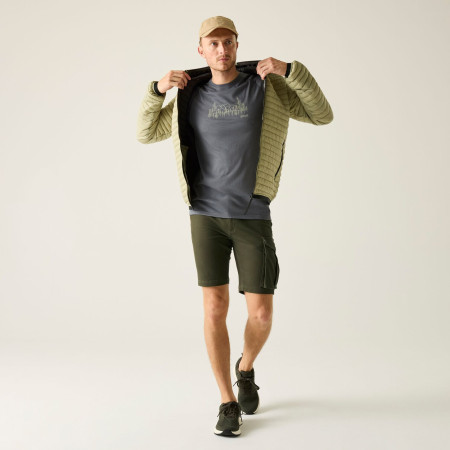 Herrenshorts Regatta Bendrick Shorts