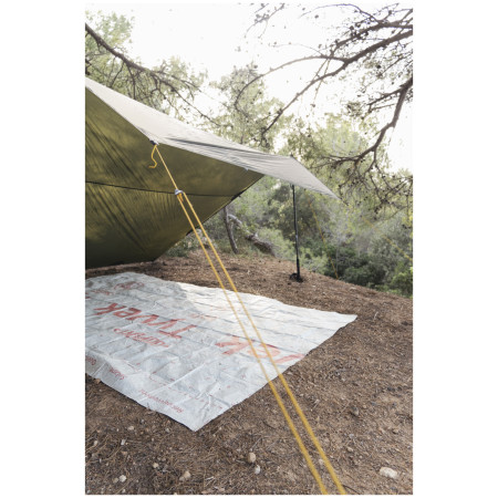 Plane DuPont Tyvek Double