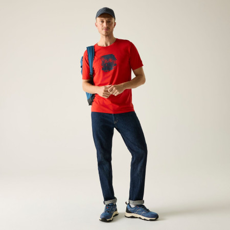 Herren-T-Shirt Regatta Cline IX