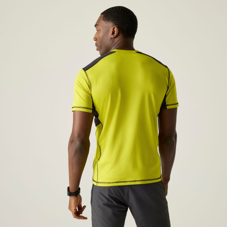 Herren-T-Shirt Regatta Virda