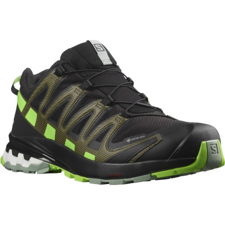 Herren Laufschuhe Salomon Xa Pro 3D V8 Gore-Tex schwarz/grün Black