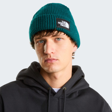 Mütze The North Face Salty Lined Beanie