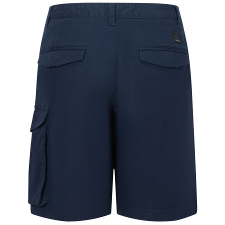 Herrenshorts Regatta Bendrick Shorts