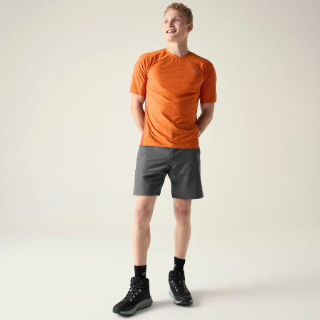 Herrenshorts Dare 2b Torrek II Short