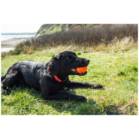 Hundespielzeug Mountain Paws Dog Wave Treat Ball Dispenser