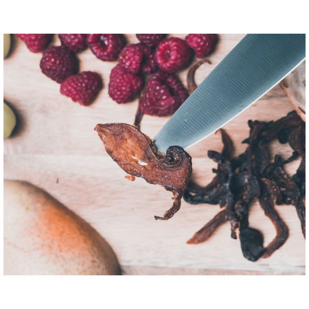 Pilz-Trockenfleisch Timba Mushroom Jerky - Original with Himalayan salt