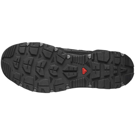 Herrenschuhe Salomon Techamphibian 5