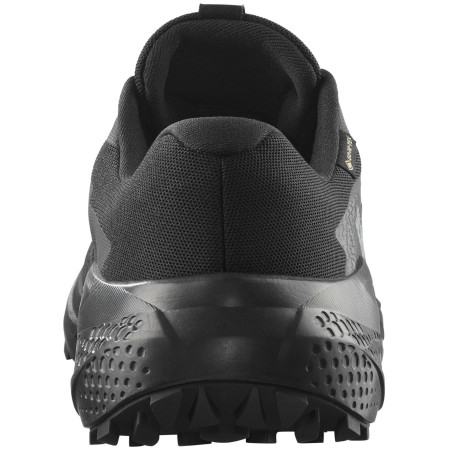 Herren Laufschuhe Salomon Alphaglide Gore-Tex