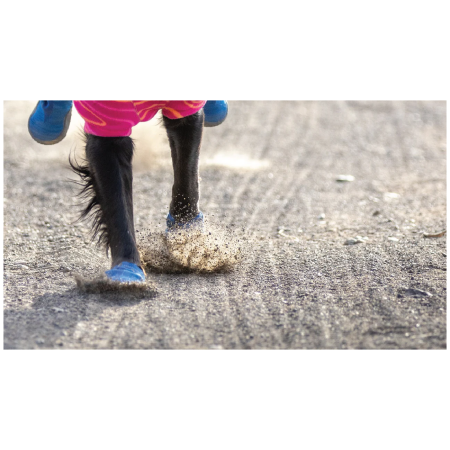 Hundeschuhe Ruffwear Hi & Light™ Trail Shoes