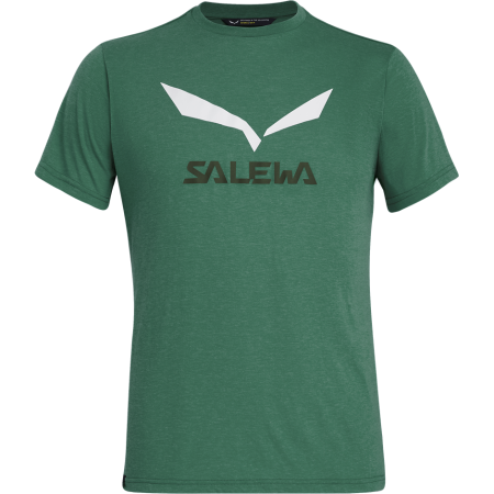 Herren-T-Shirt Salewa Solidlogo Dri-Rel M S/S Tee grün MyrtleMelange