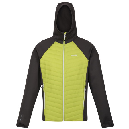 Herrenjacke Regatta Andreson VII Hybrid hellgrün GrnAlg/SlGry