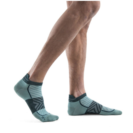 Herrensocken Icebreaker Men Merino Run+ Ultralight Micro