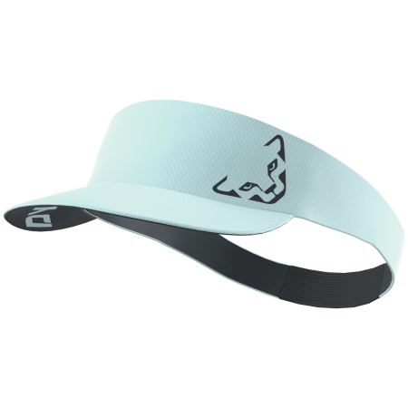 Schild Dynafit Alpine Visor Band hellblau cloud blue/0720