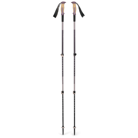 Trekkingstöcke Black Diamond Trail Vista Shock