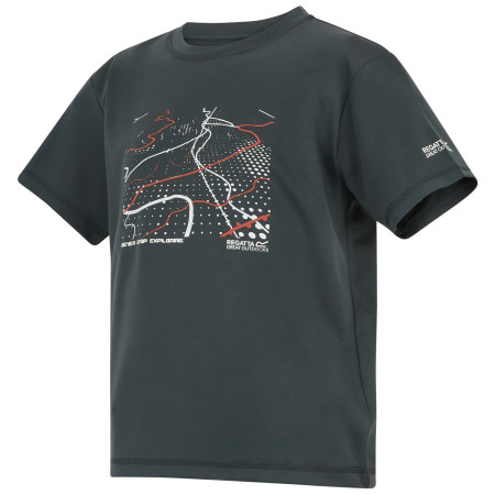 Kinder-T-Shirt Regatta Alvarado Seal Grey