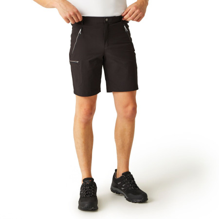 Herrenshorts Regatta Xert Stretch Shorts III