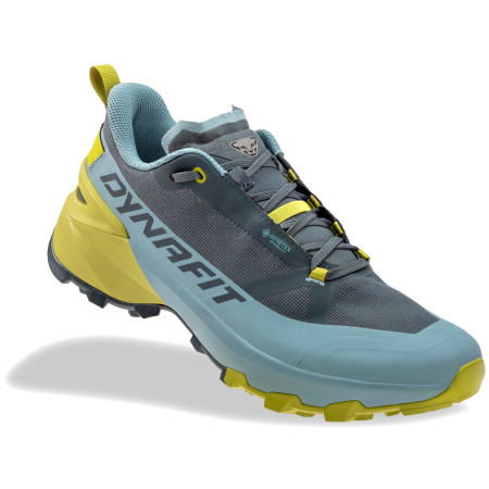Herrenschuhe Dynafit Transalper 2 Gtx