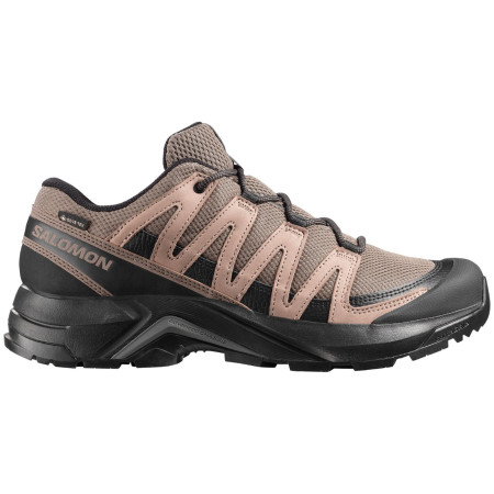 Wanderschuhe Salomon X-Adventure Recon Gore Tex