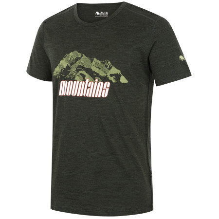 Herren-T-Shirt Zulu Merino Mountains 160 Short Comfy