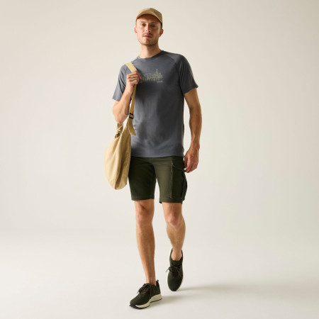 Herrenshorts Regatta Bendrick Shorts