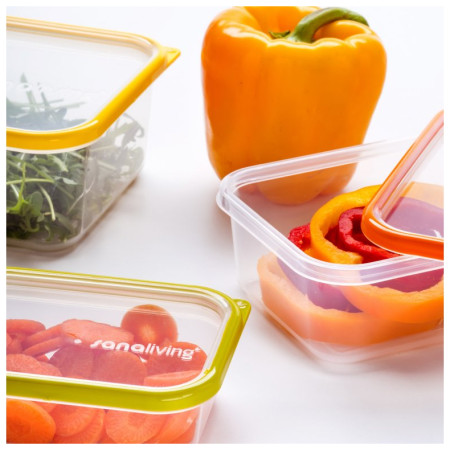 Lebensmittelbox Omada Sanaliving Box Set 3x 24x16,5x5cm/1L